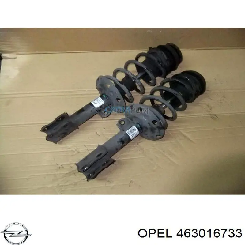 463016733 Opel 