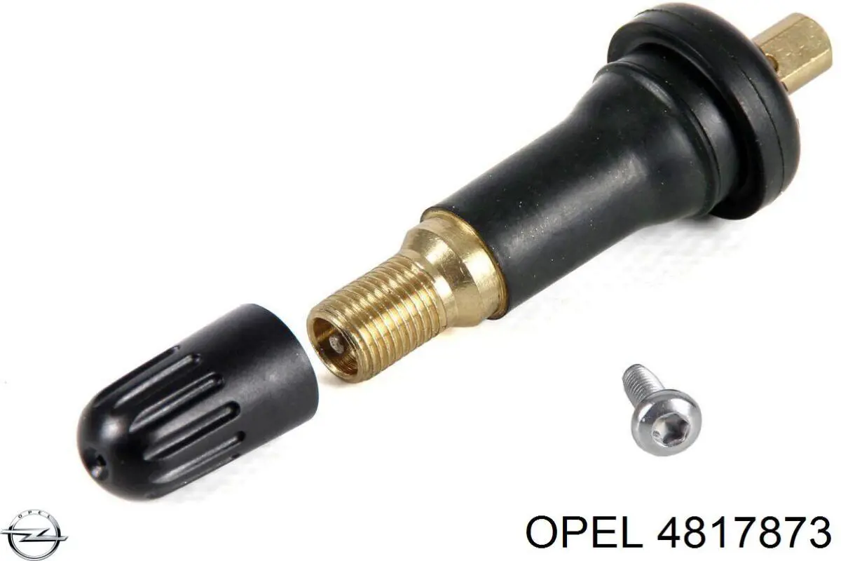 4817873 Opel Válvula para a roda