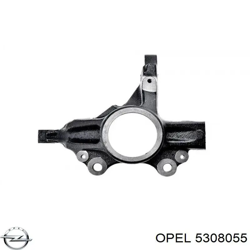 Pino moente (extremidade do eixo) dianteiro esquerdo Opel 5308055 preço, a partir de 93,03 USD