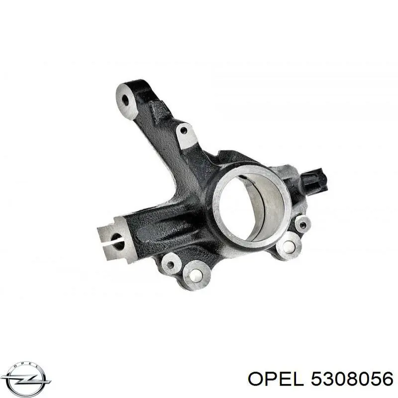 5308056 Opel Pino moente (extremidade do eixo) dianteiro direito