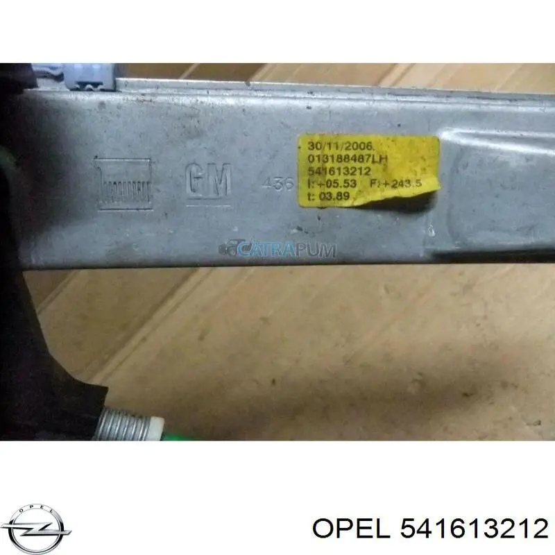 541613212 Renault (RVI)