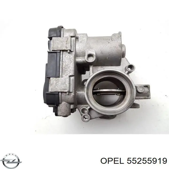 Válvula de borboleta montada Magneti Marelli 40DFP1