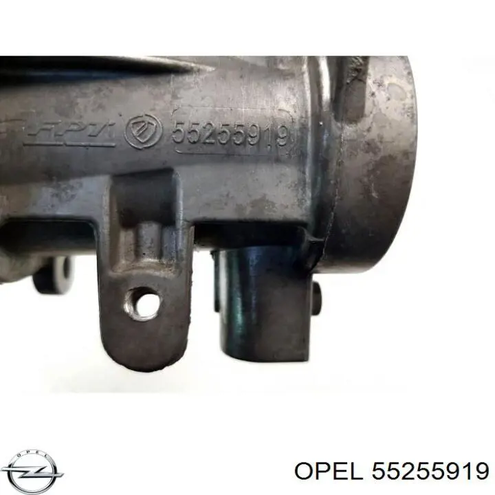Válvula de borboleta montada 40DFP1 Magneti Marelli