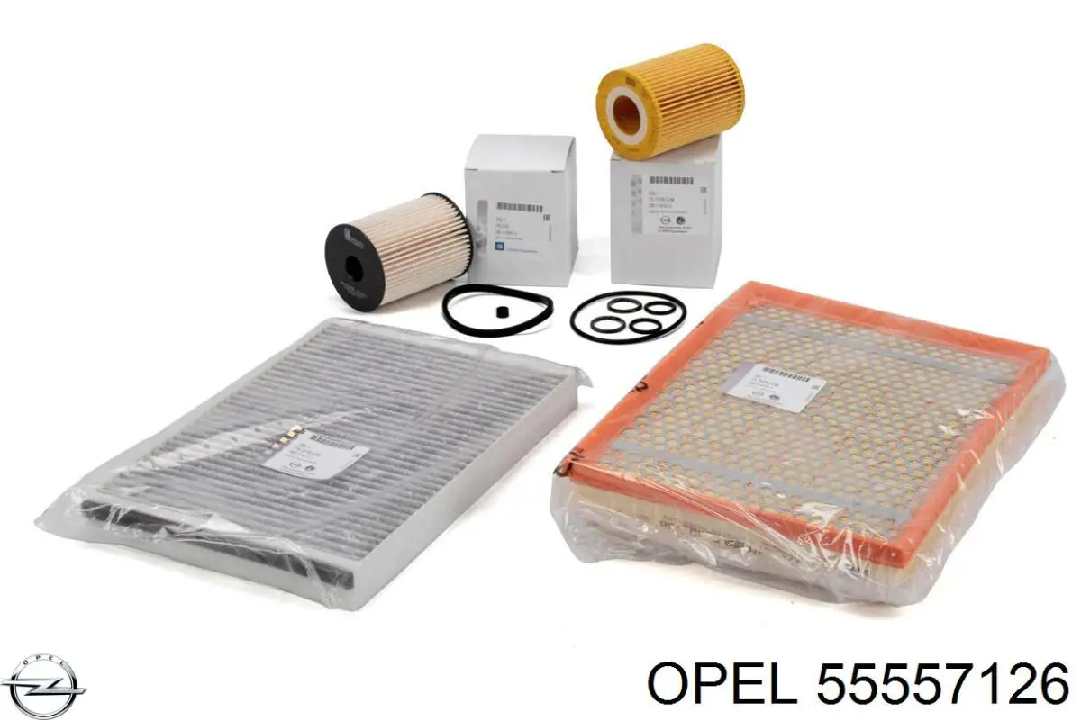 Compre 55557126 Opel Caixa de filtro de ar