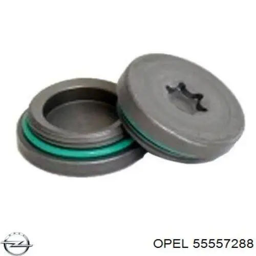 Tampão CBC/do bloco de cilindros Opel 5636974 preço, a partir de 6,51 USD