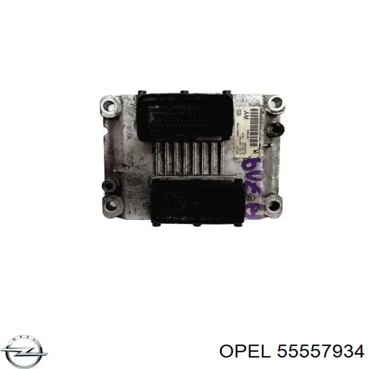 55557934 Opel Módulo de direção (Centralina eletrônica) de motor