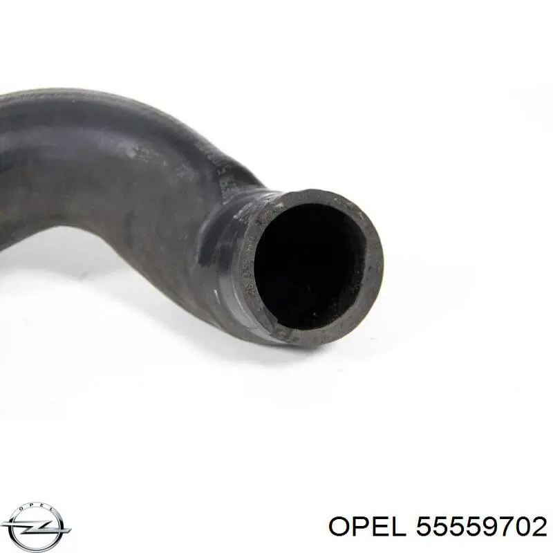 Compre 24451330 General Motors Mangueira (cano derivado) de intercooler