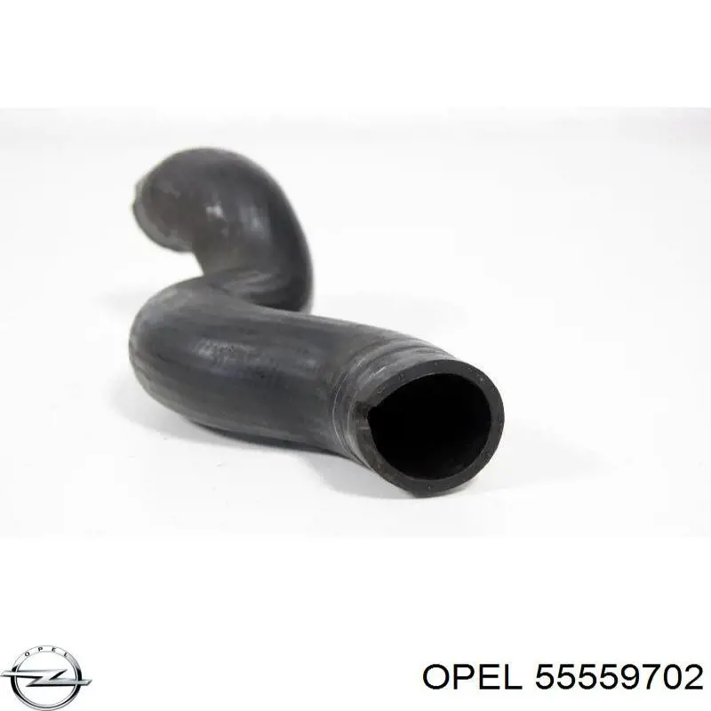 24451330 General Motors Mangueira (cano derivado) de intercooler