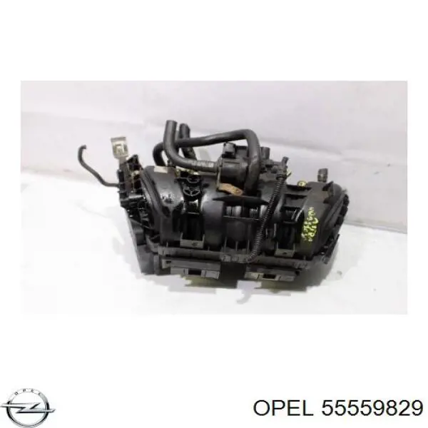55559829 Opel 