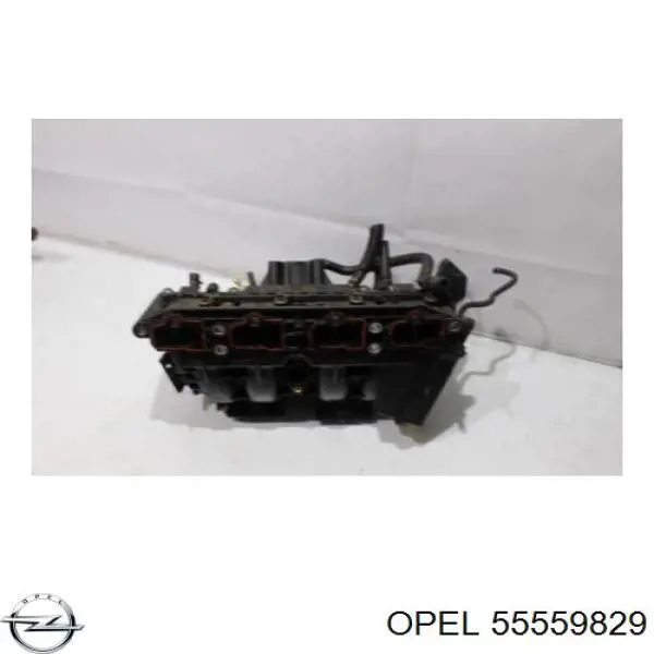  55559829 Opel