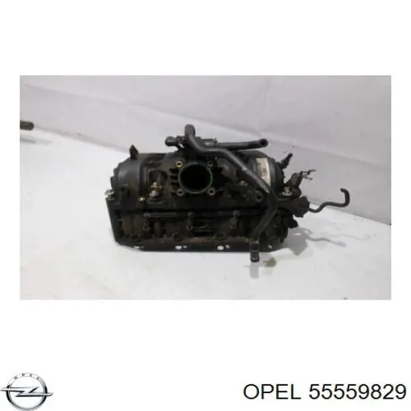 55559829 Opel 