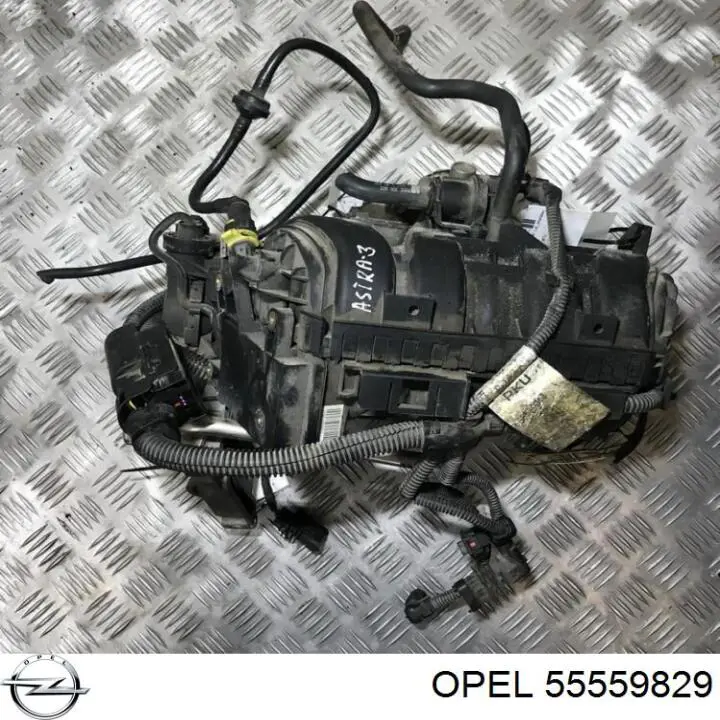 Compre 55559829 Opel 