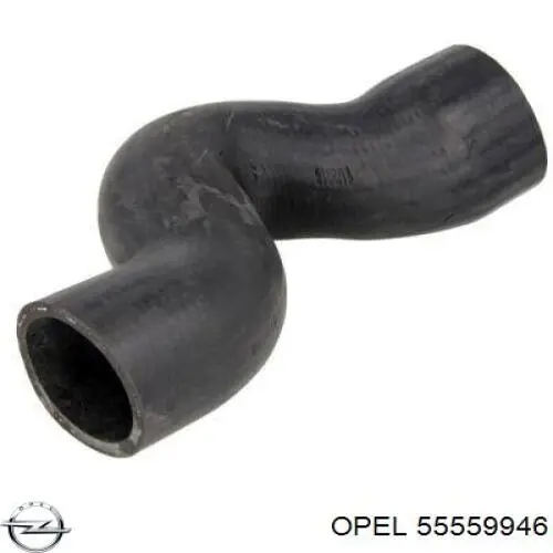 Compre 55559946 Opel Mangueira (cano derivado) de intercooler