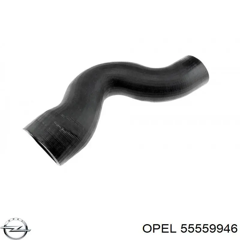 55559946 Opel Mangueira (cano derivado) de intercooler