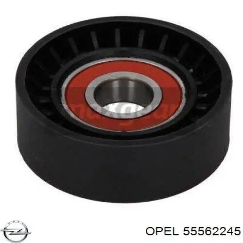 Compre 55562245 Opel Reguladora de tensão da correia de transmissão