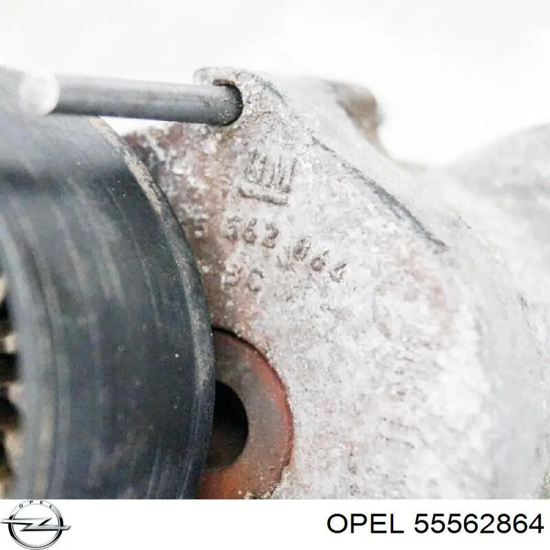 Compre 55562864 Opel Reguladora de tensão da correia de transmissão