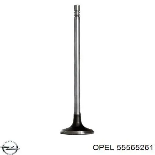 641464 Opel Válvula de admissão