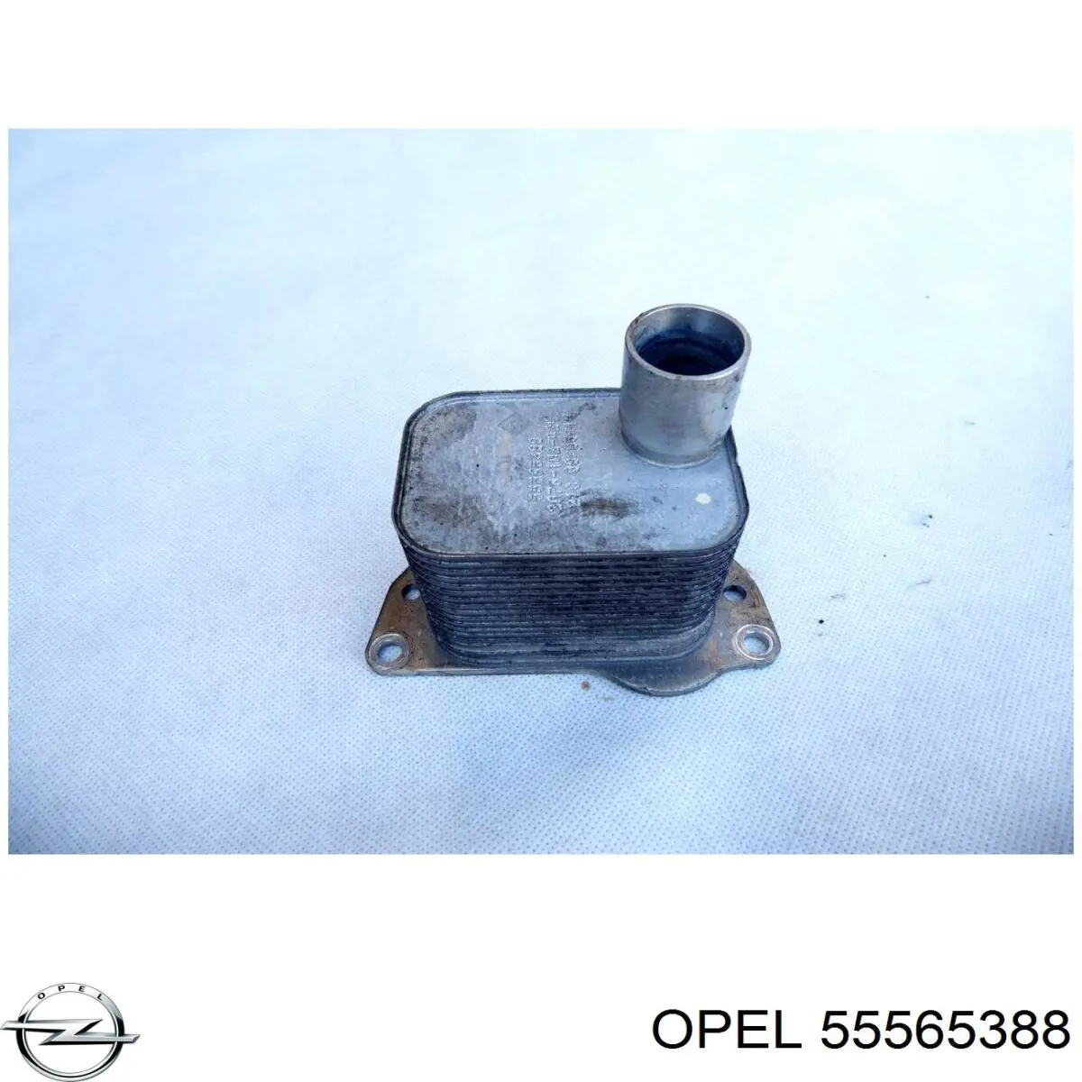 Compre 55565388 General Motors Radiador de óleo (frigorífico), debaixo de filtro