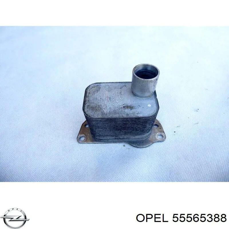 Radiador de óleo (frigorífico), debaixo de filtro General Motors 55565388 preço, a partir de 48,90 USD