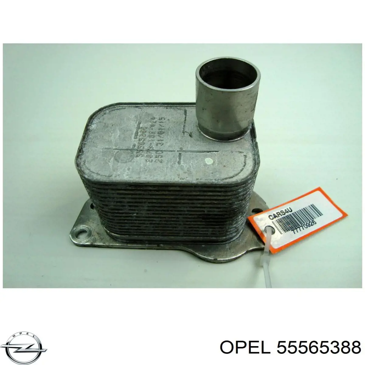 Radiador de óleo (frigorífico), debaixo de filtro 55565388 General Motors