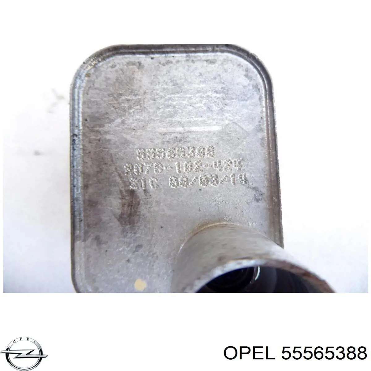  General Motors 55565388