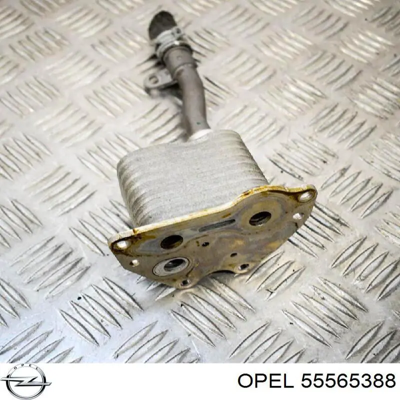 Radiador de óleo (frigorífico), debaixo de filtro 55565388 General Motors