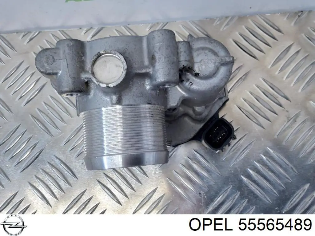 55565489 Opel Válvula de borboleta montada