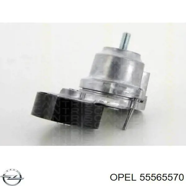 Reguladora de tensão da correia de transmissão Opel 55565570 preço, a partir de 53,01 USD