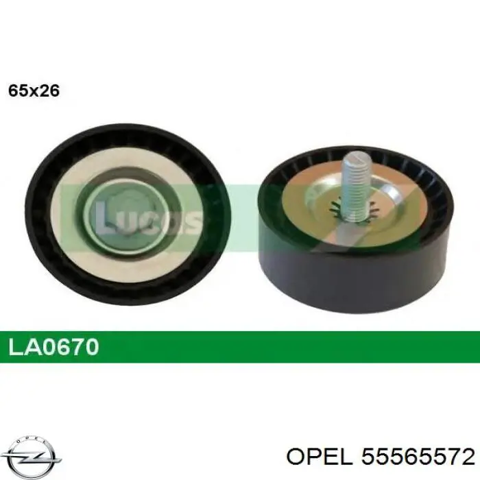 55565572 Opel Rolo parasita da correia de transmissão