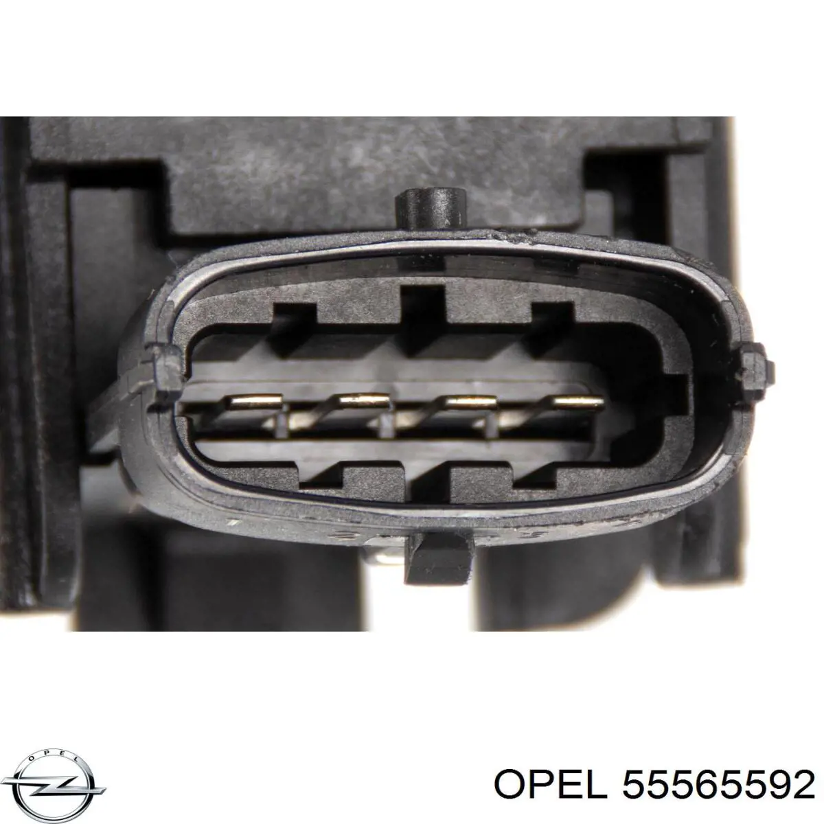Tubo coletor de admissão Opel 55565592