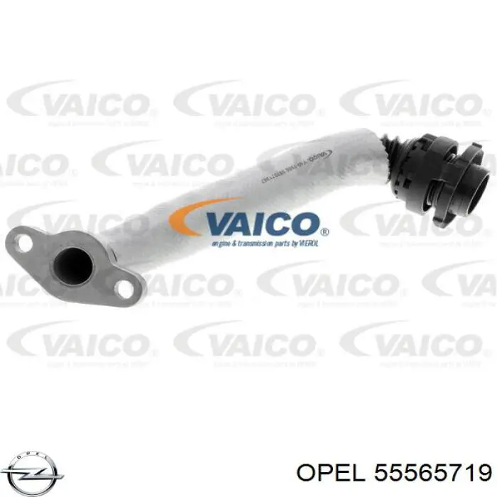 Tubo (mangueira) de derivação de óleo de turbina Opel 5658341 preço, a partir de 24,72 USD