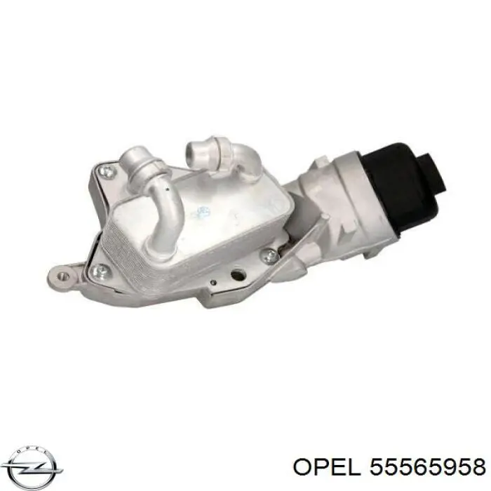 55565958 Opel Caixa do filtro de óleo