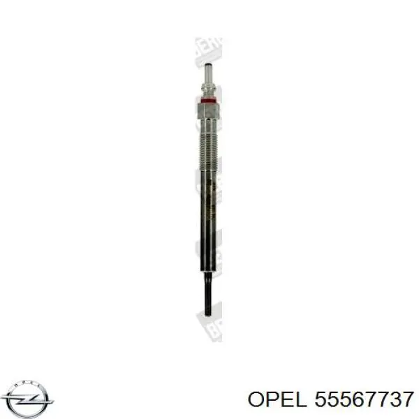 Compre 55567737 Opel Vela de incandescência