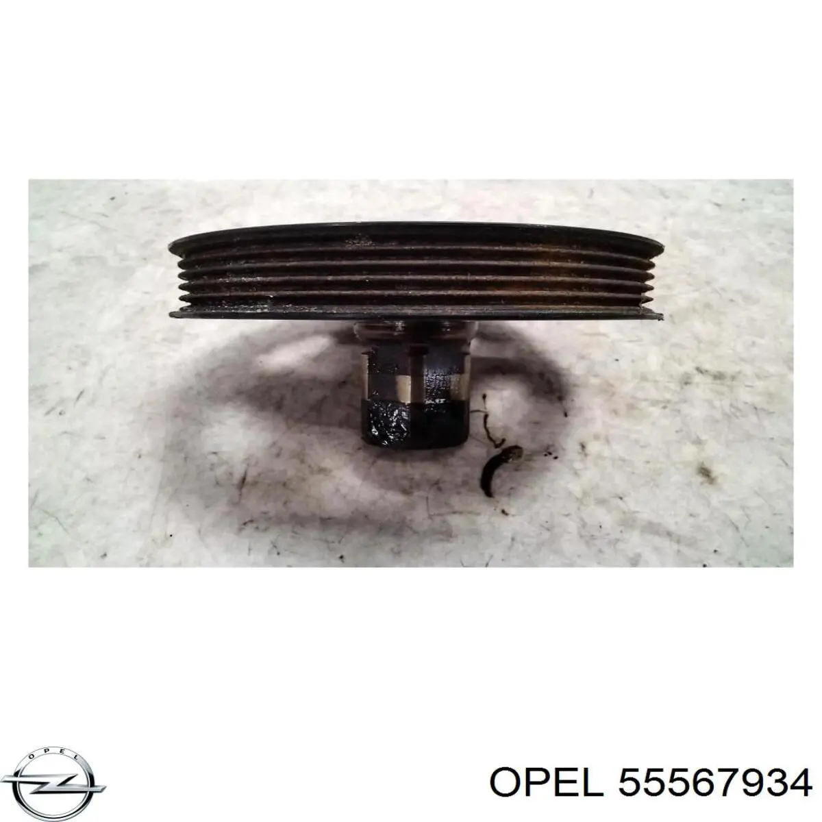 Compre 55567934 General Motors Pistão do kit para 1 cilindro, STD