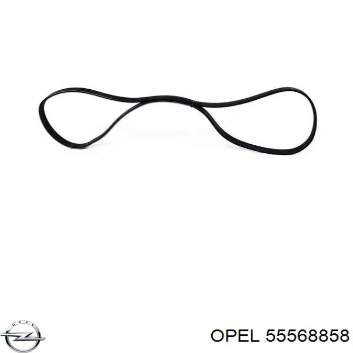 Compre 55568858 Opel Correia dos conjuntos de transmissão