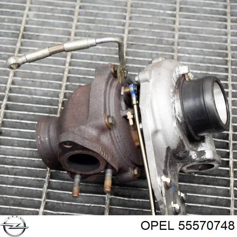 Compre 155041N Dasis Turbina