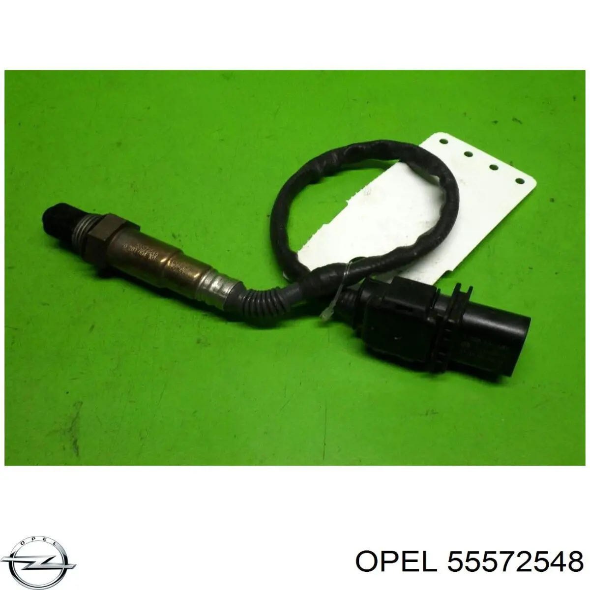 Compre 55572548 General Motors Sonda lambda, sensor de oxigênio até o catalisador