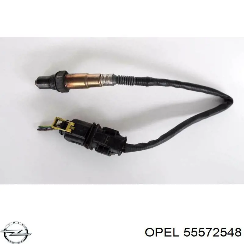 55572548 Opel Sonda lambda, sensor de oxigênio até o catalisador