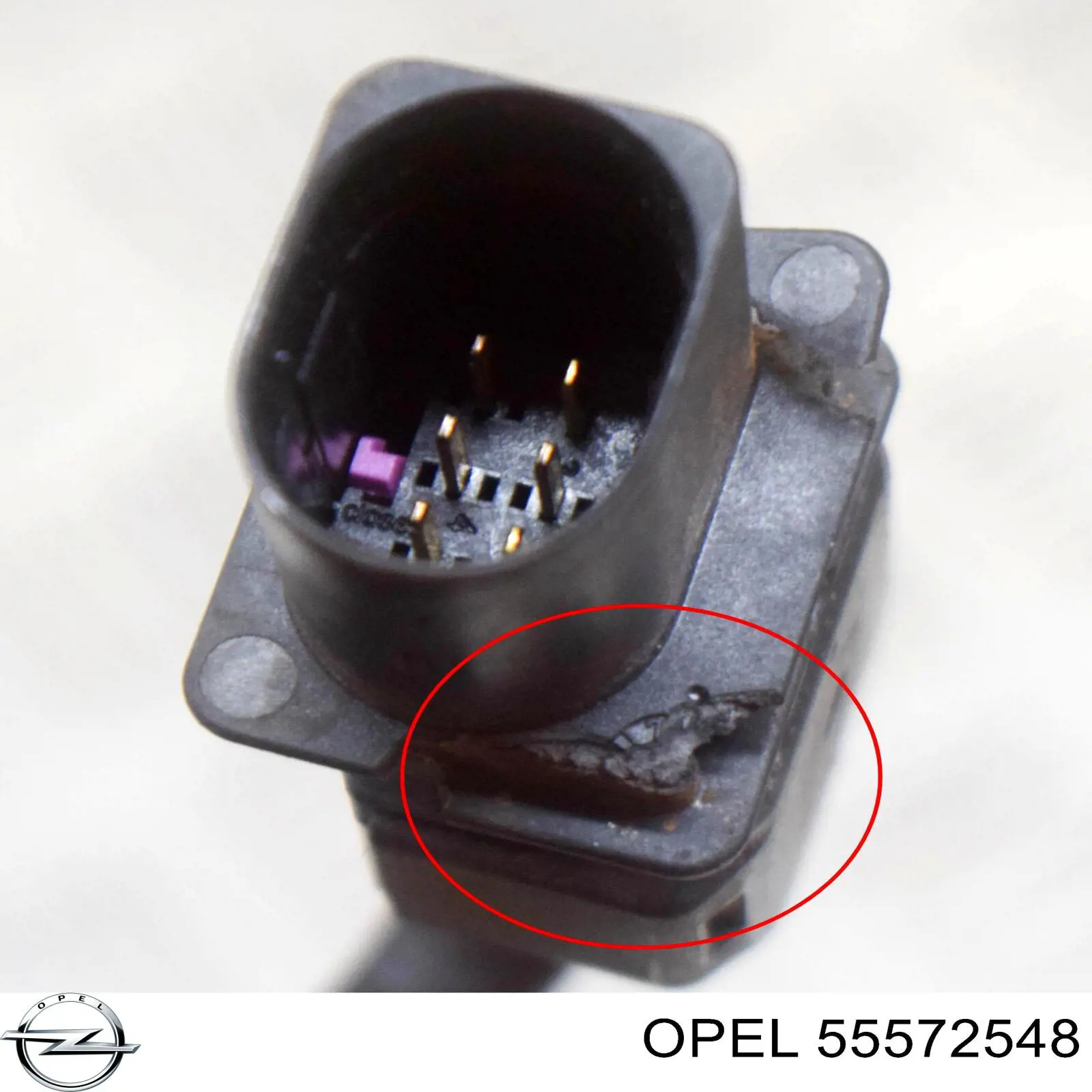 Compre 55572548 Opel Sonda lambda, sensor de oxigênio até o catalisador