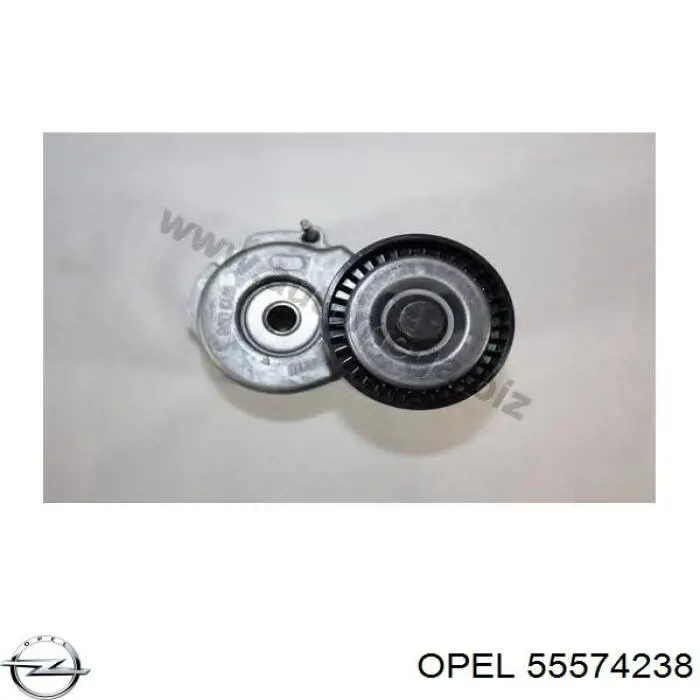 Compre 55574238 Opel Reguladora de tensão da correia de transmissão