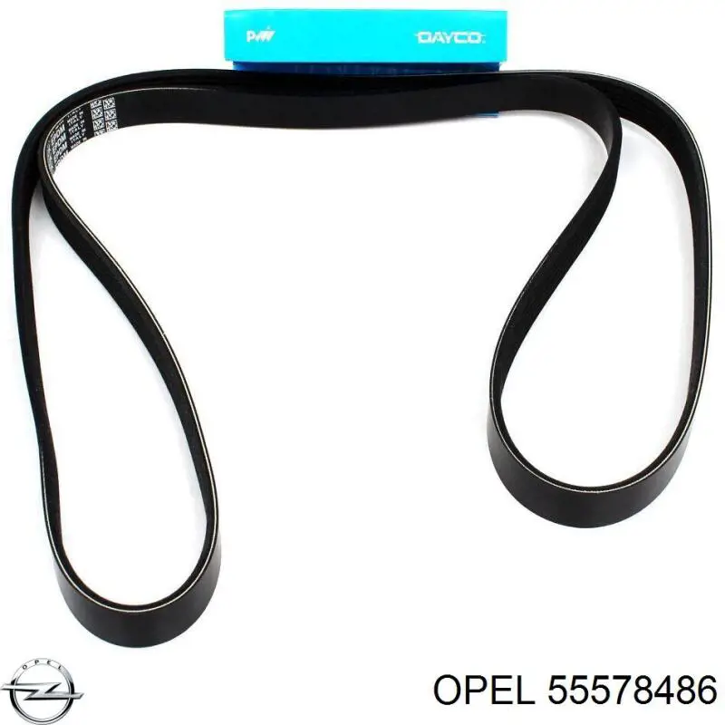55578486 Opel Correia dos conjuntos de transmissão