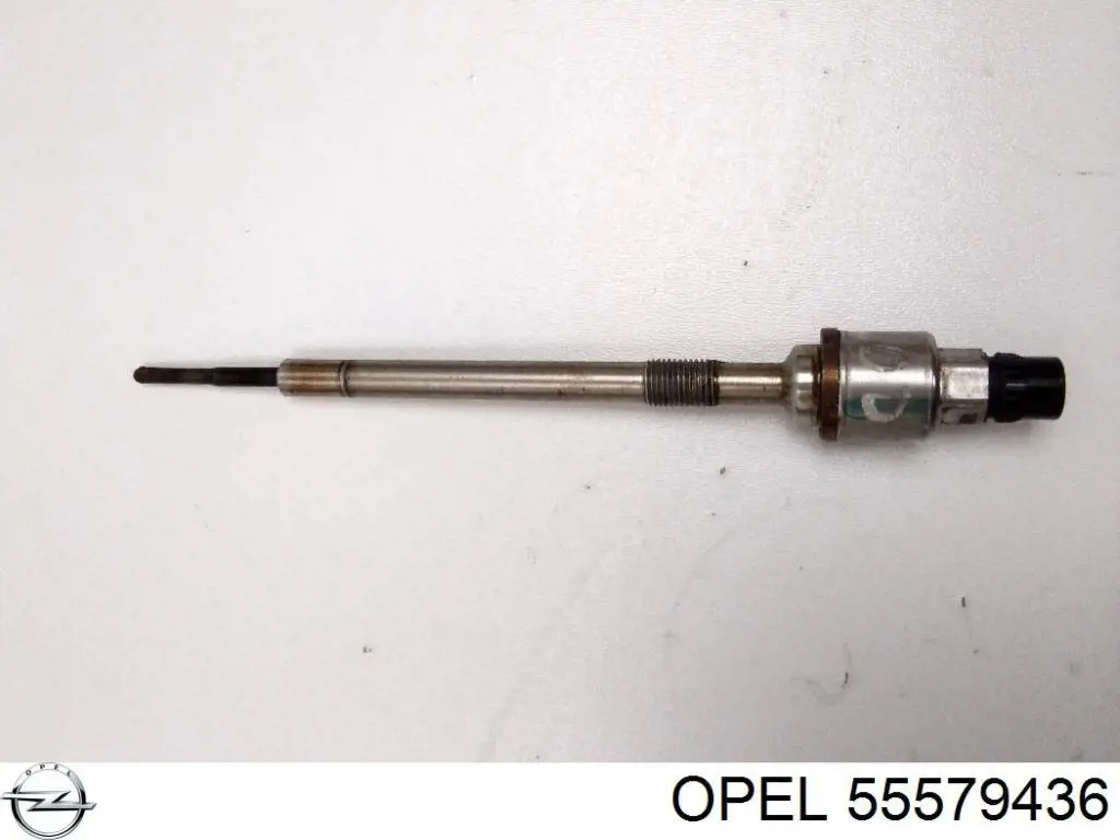 Compre 55579436 Opel Vela de incandescência