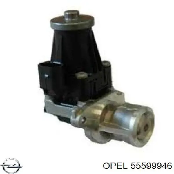Compre 55599946 Opel Válvula EGR de recirculação dos gases