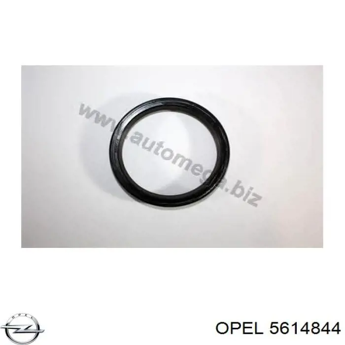 Vedação traseira de cambota de motor Opel 5614844 preço, a partir de 17,03 USD