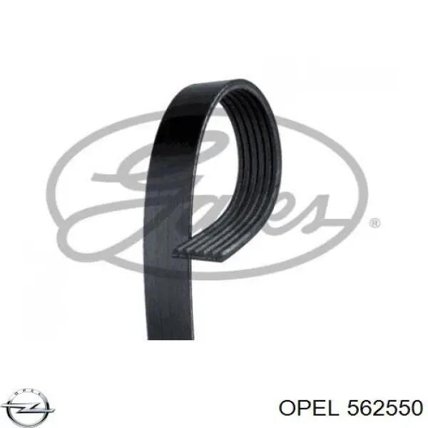 562550 Opel 