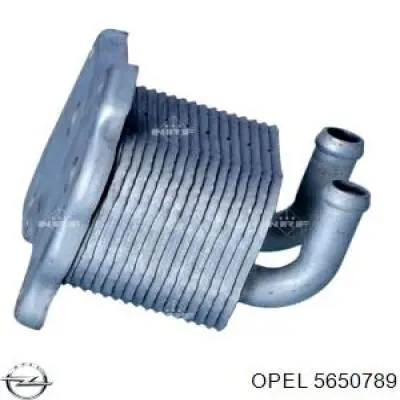 5650789 Opel Radiador de óleo