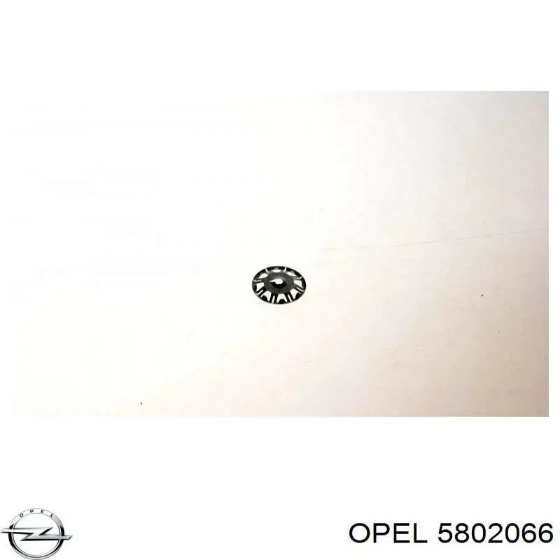 5802066 Opel 