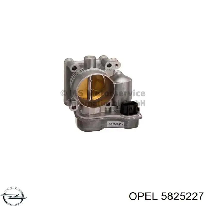 Compre 5825227 General Motors Válvula de borboleta montada