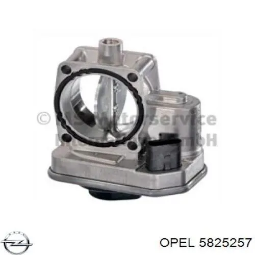 Válvula de borboleta montada Opel 5825257 preço, a partir de 73,26 USD