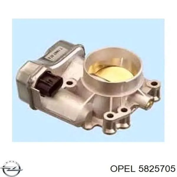 5825705 Opel Válvula de borboleta montada